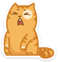 cat18    {cat18} {cat18}