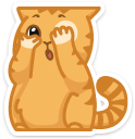cat20    {cat20} {cat20}